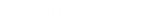 Rainy City Shopify Agency logo 